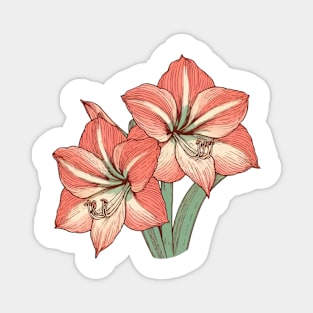 Amaryllis Illustration Magnet