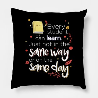 Paraprofessional Special Education Teacher Pillow