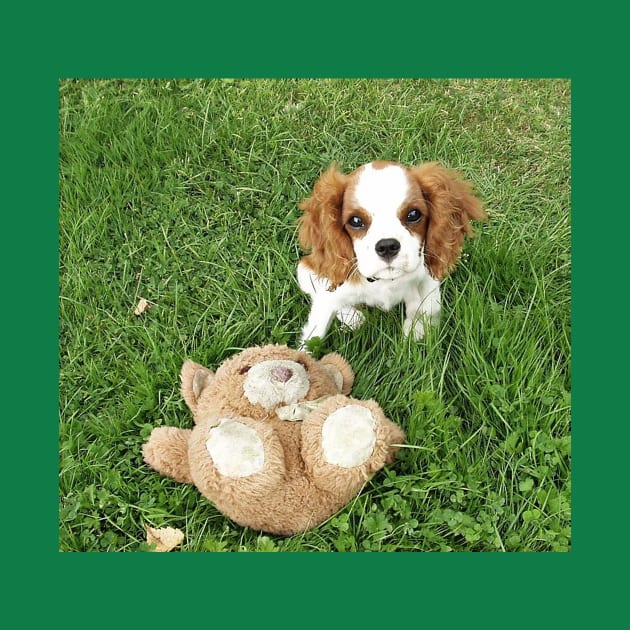 cavalier king charles spaniel blenheim puppy with toy by Wanderingangel