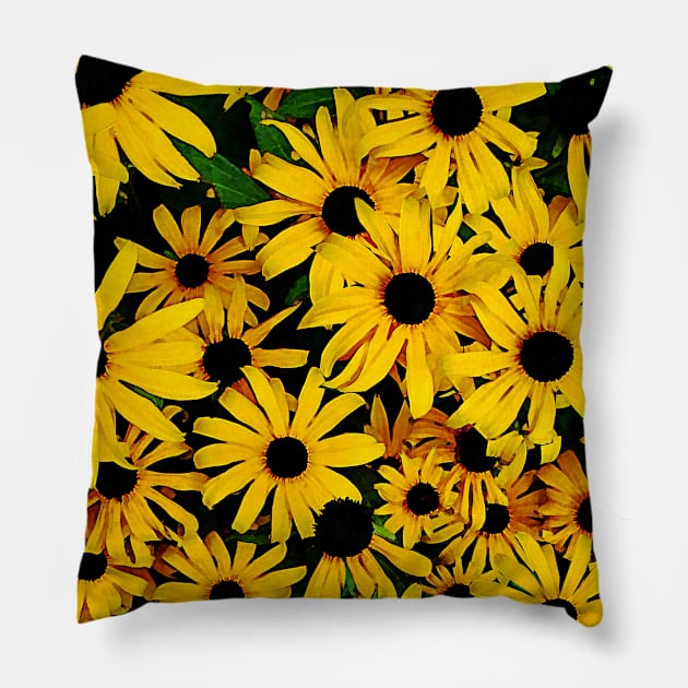 Field of Black-Eyed Susans Pillow by SusanSavad