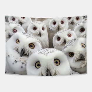 Owl Bird Wild Nature Funny Happy Humor Photo Selfie Tapestry