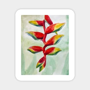 Red Watercolor Heliconia - Tropical Floral Print Magnet