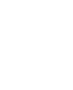 Welcome to Warp Zone Magnet