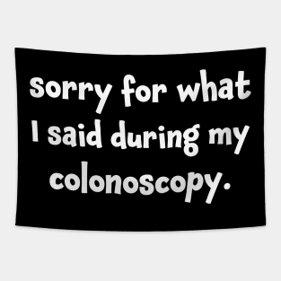 Sorry for What I Said During My Colonoscopy Tapestry