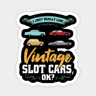 I Just Really Like Vintage Slot Cars Magnet