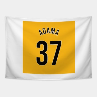 Adama 37 Home Kit - 22/23 Season Tapestry