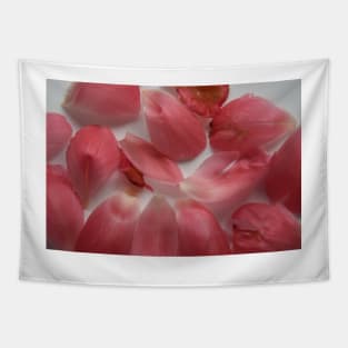 Peony petals Tapestry