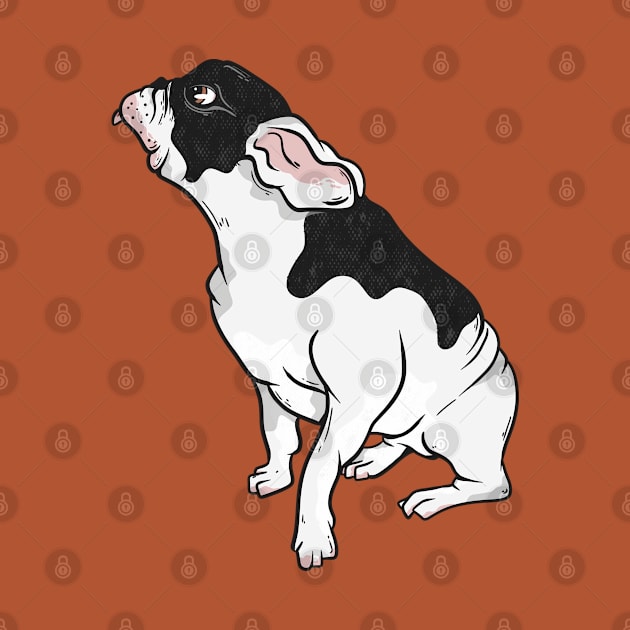 Black and white french bulldog by mailboxdisco