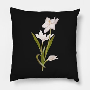 Beautiful Flowers 24 Pillow