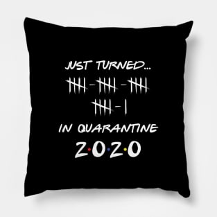 Just Turned 21 In Quarantine Humor Birthday Pillow