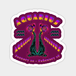 Aquarius 3a Raspberry Magnet