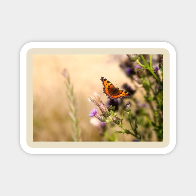 Dreamy Tortoiseshell  Butterfly Magnet by Violaman