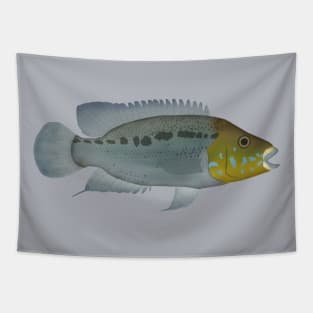 Turquoise Cichlid Tapestry