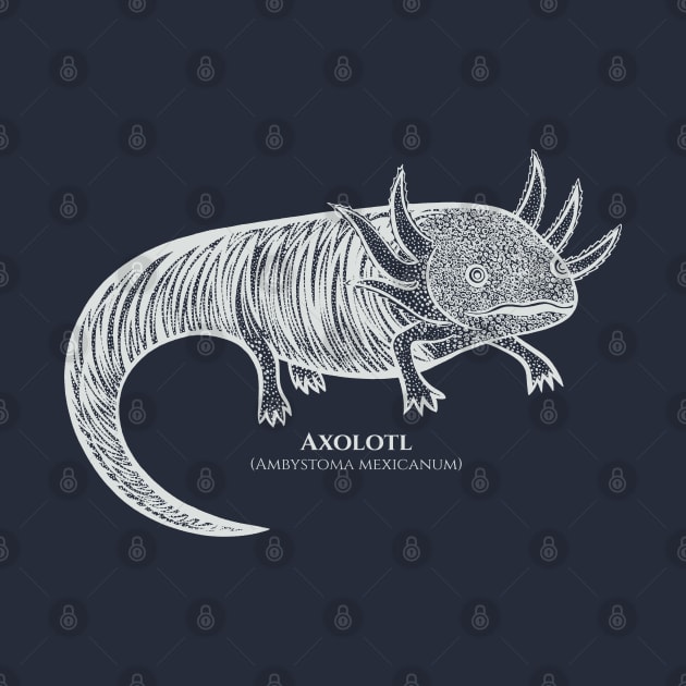 Axolotl with Common and Latin Names - Mexican Walking Fish design by Green Paladin