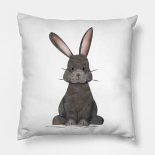 Cutest ever, totally adorable Chester the Rabbit - kids Pillow