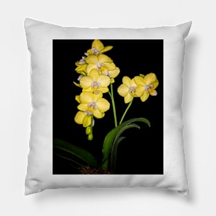 Yellow Mini Orchid Pillow