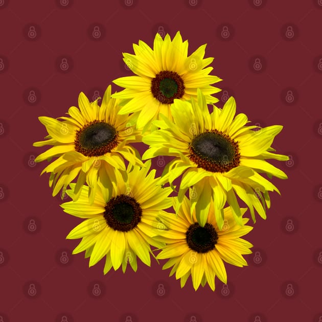 bunch of flowers, sunflowers, sunflower, blooming by rh_naturestyles