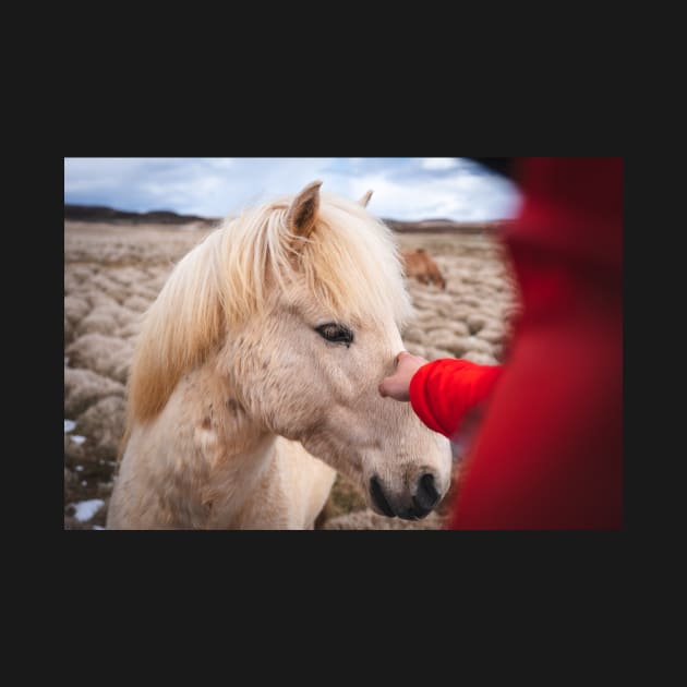 Men Meeting with Icelandic White Horse by Danny Wanders