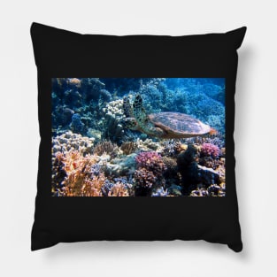 Turtle Under the Ocean Pillow