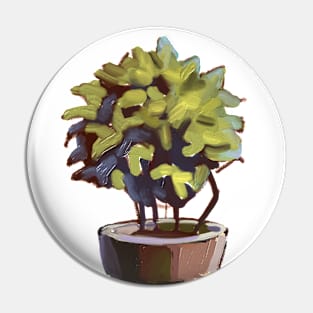 Cute bush in a pot Pin