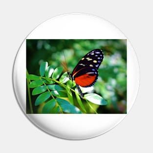 Tiger Longwing Butterfly Pin