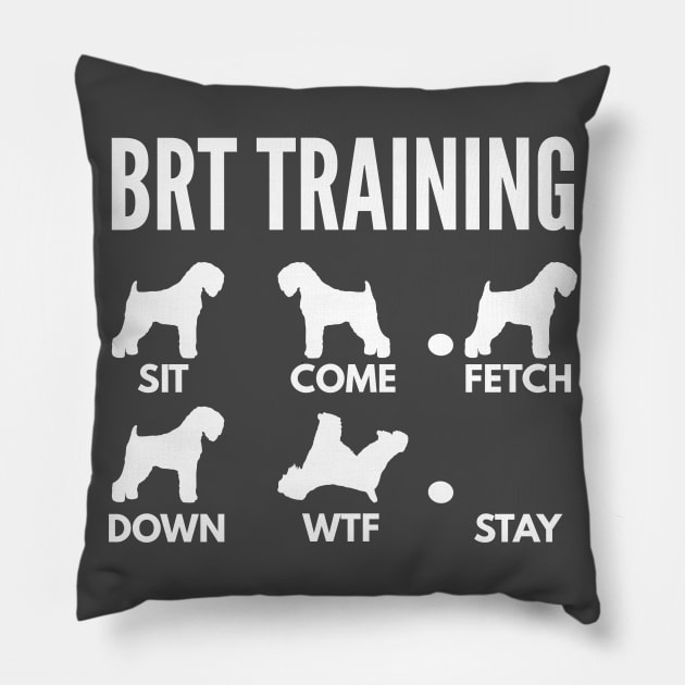 BRT Training Black Russian Terrier Dog Tricks Pillow by DoggyStyles