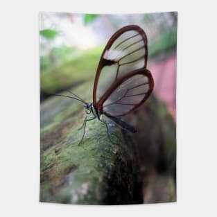 Beautiful Butterfly Tapestry