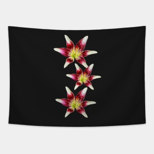 My colorful original, realistic prints - lily flowers Tapestry