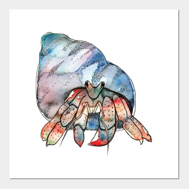 Watercolor Hermit Crab Hermit Crab Posters And Art Prints
