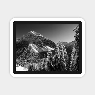 Swiss mountain landscape Magnet