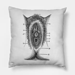 Female Reproductive Diagram - The Vagina - Vintage Anatomy Pillow