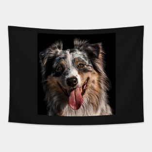 Australian Shepherd in front of a black background Tapestry