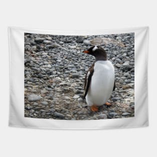 Gentoo penguin on the beach at Brown Bluff Tapestry