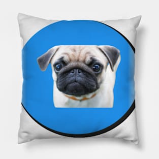 bulldog on a blue background Pillow