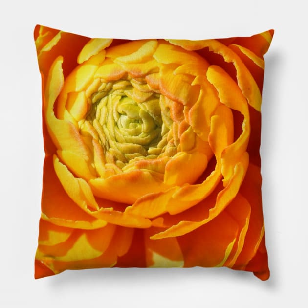 Ranunkel in Orange Pillow by OVP Art&Design