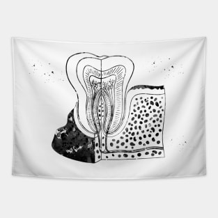 Tooth anatomy Tapestry