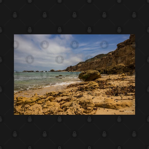 Fingal Beach, Cape Schanck, Mornington Peninsula, Victoria, Australia. by VickiWalsh