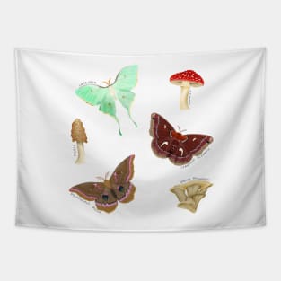 Mushrooms and Moths Tapestry