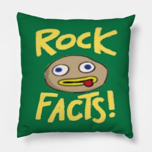 Just a Rock Fact Pillow