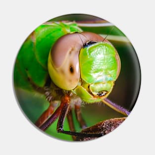 Dragonfly Smile, Macro Photograph Pin