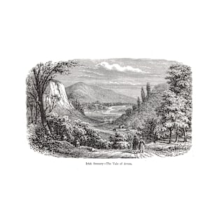 Vale of Avoca, County Wicklow, Ireland, 19th century engraving T-Shirt