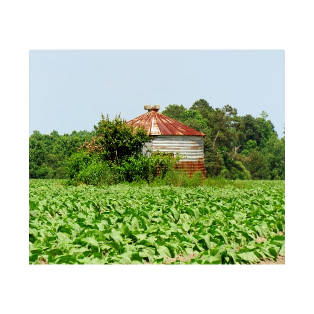 Silo In The Middle Of A Field by Cynthia48