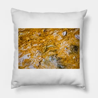 Heat of the Hot Springs Runoff Pillow