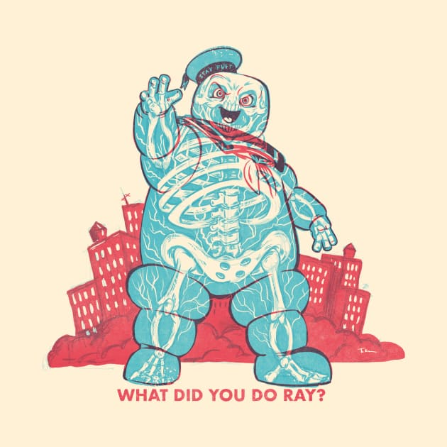 What Did You Do Ray by Travis Knight
