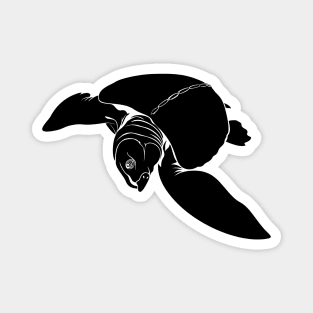 Archelon Magnet