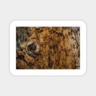 Rotten Wood Magnet