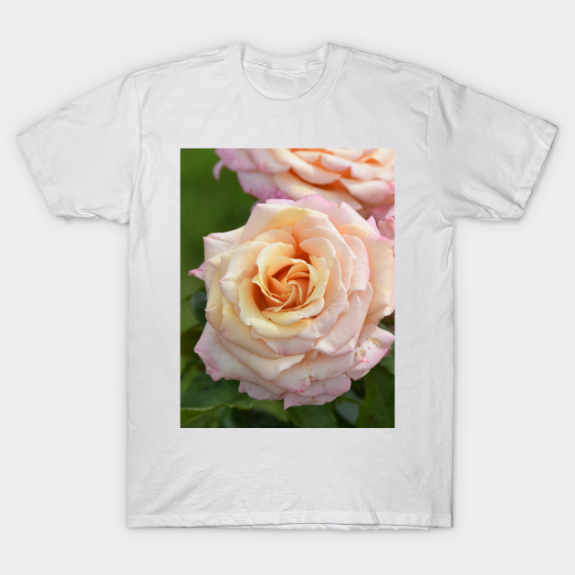 Discover Beautiful Pink Rose - Pink Rose - T-Shirt