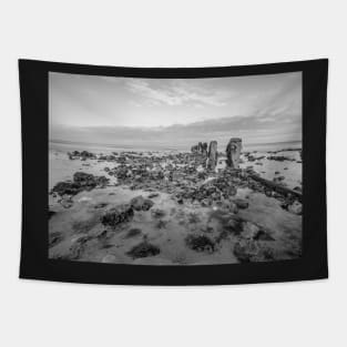 Seaweed covered rocks a the sandy beach Tapestry