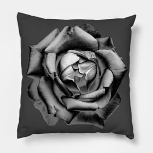 Charcoal Rose Drawing Pillow