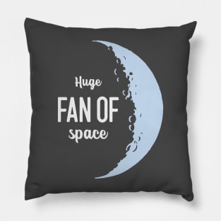 Huge Fan of Space Pillow